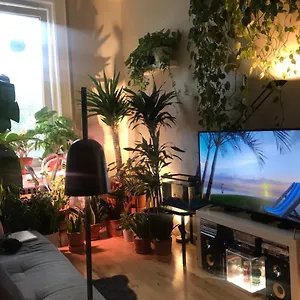 Urban Jungle Oasis In Queens! New York