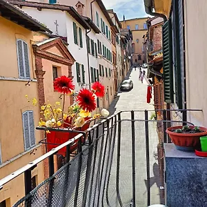 https://la-campanina-nel-cuore-di-siena-e-della-contrada.it-tuscanyhotel.com
