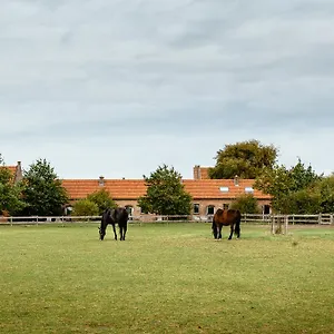 Ferienhaus Het Zwaluwnest 